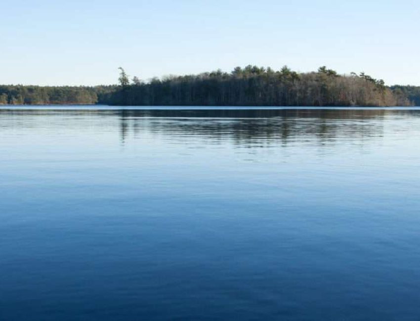 Halfway Pond