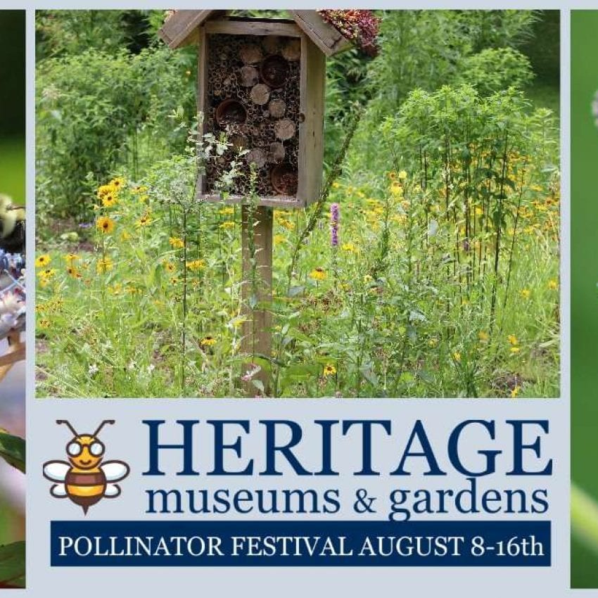 Heritage Pollinator Festival