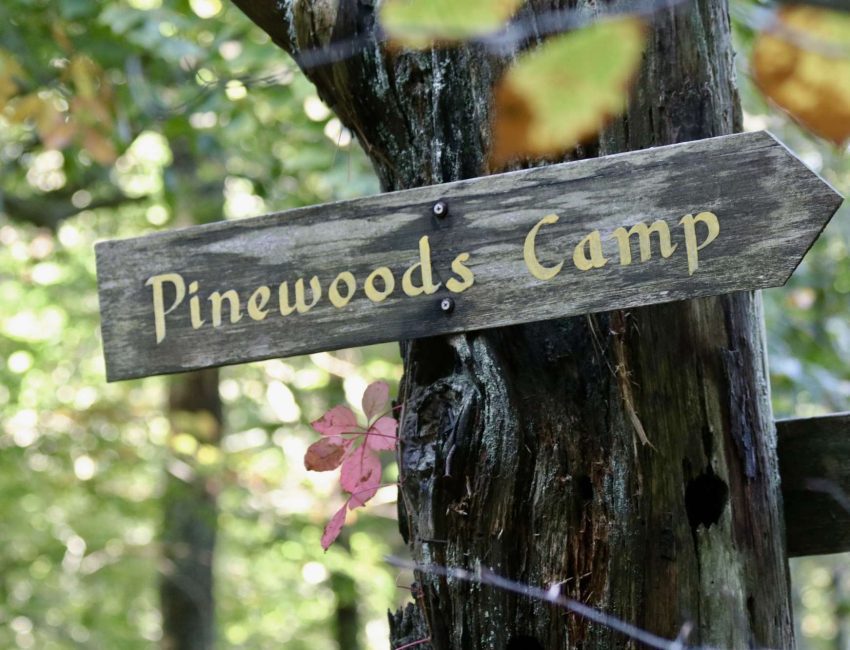 Pinewoods Camp