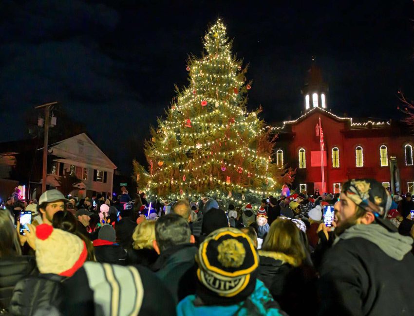 Plymouth Tree Lighting
