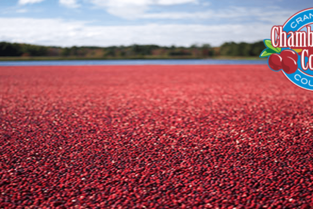 Cranberry Country Chamber Commerce