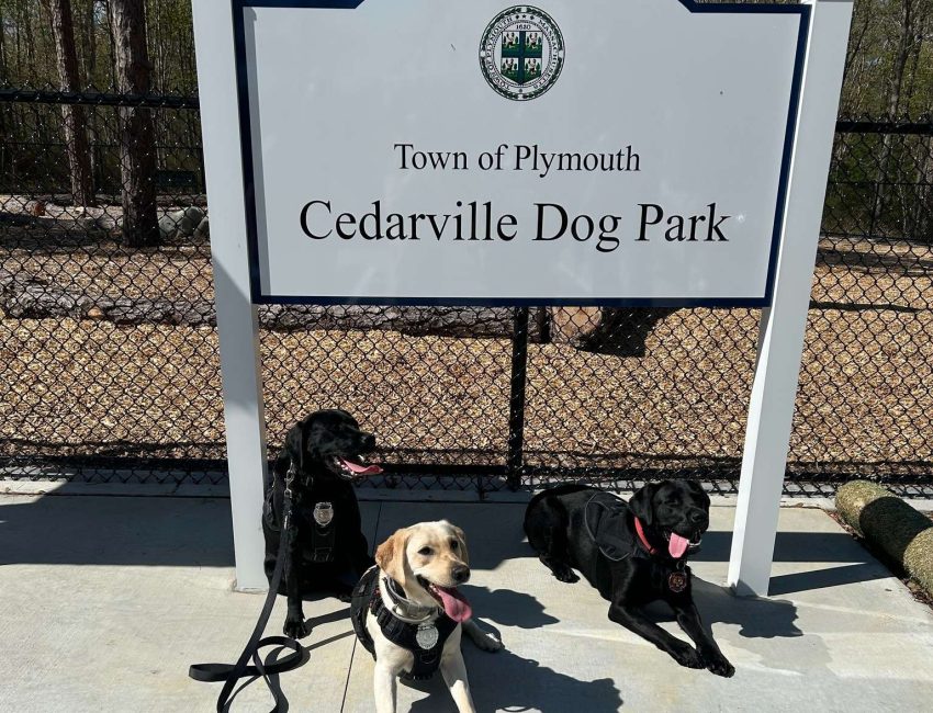 Cedarville Dog Park