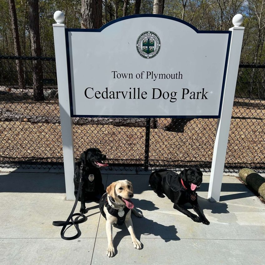 Cedarville Dog Park