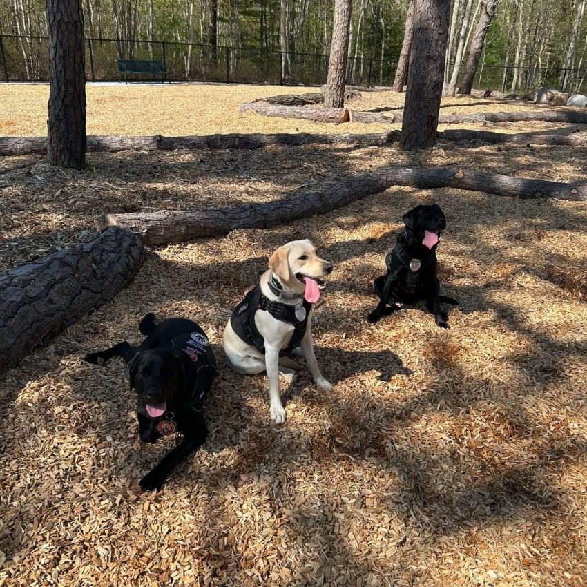 Cedarville Dog Park