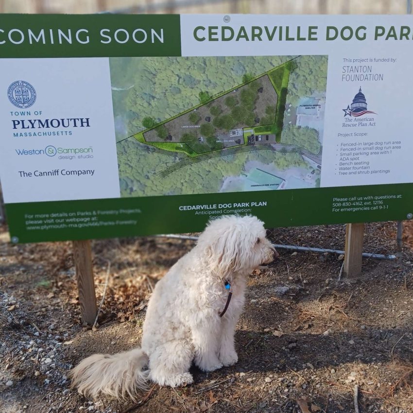 Cedarville Dog Park