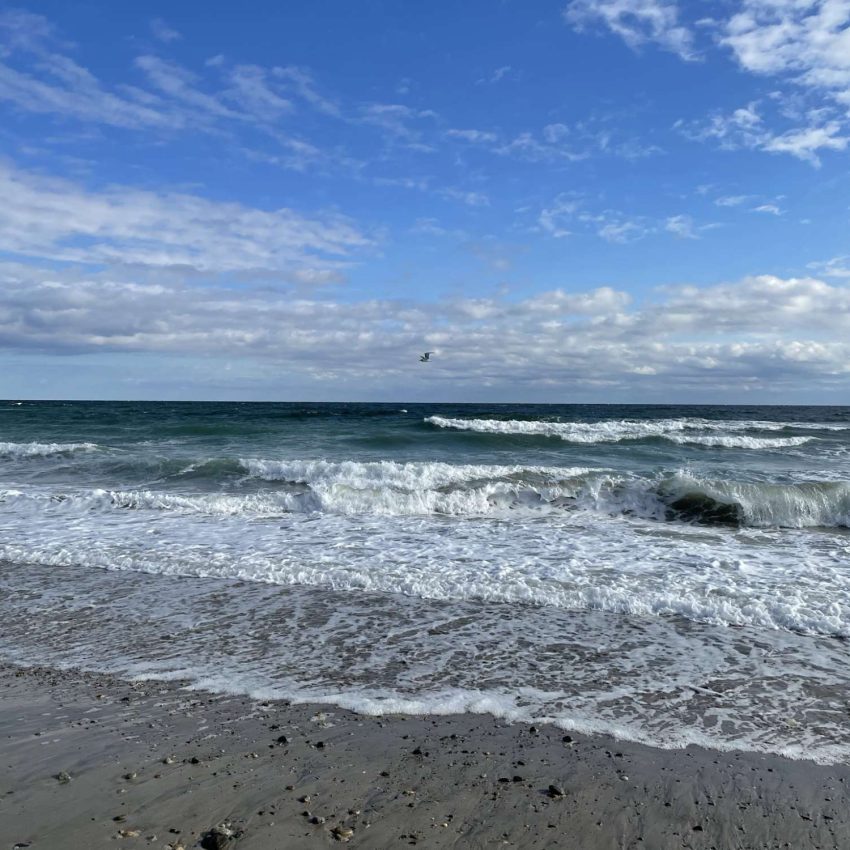 Duxbury Beach Reservation