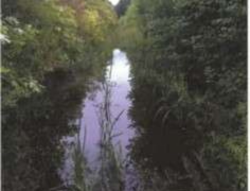 Hanson Hiking Trails