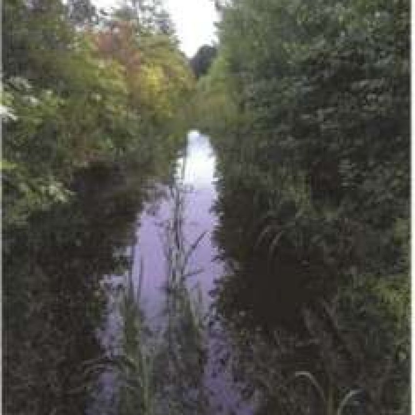 Hanson Hiking Trails
