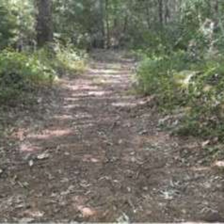 Hanson Hiking Trails