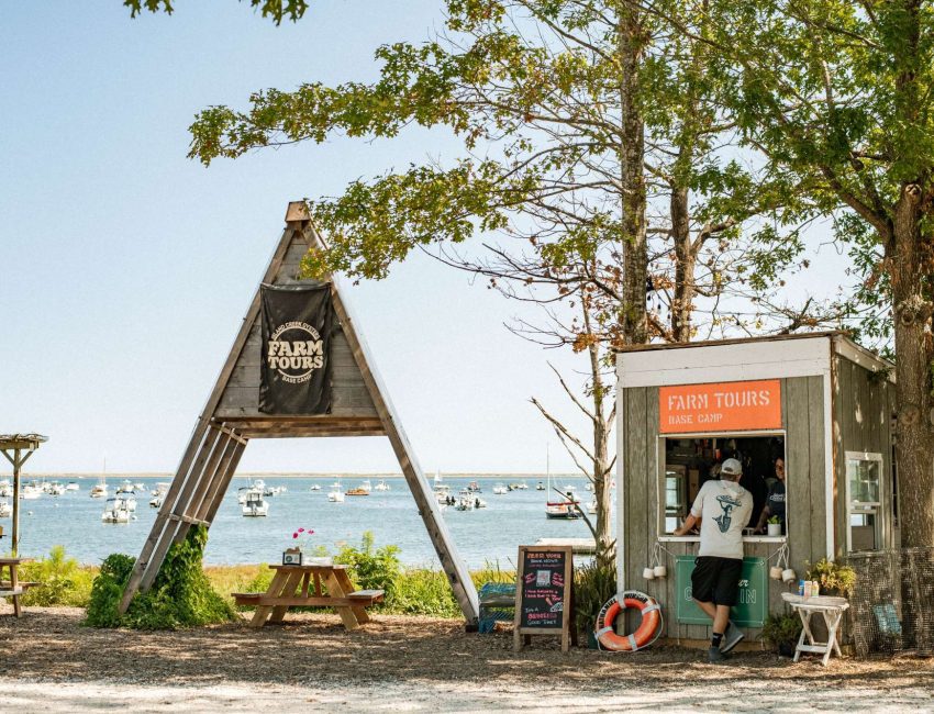 Island Creek Oysters