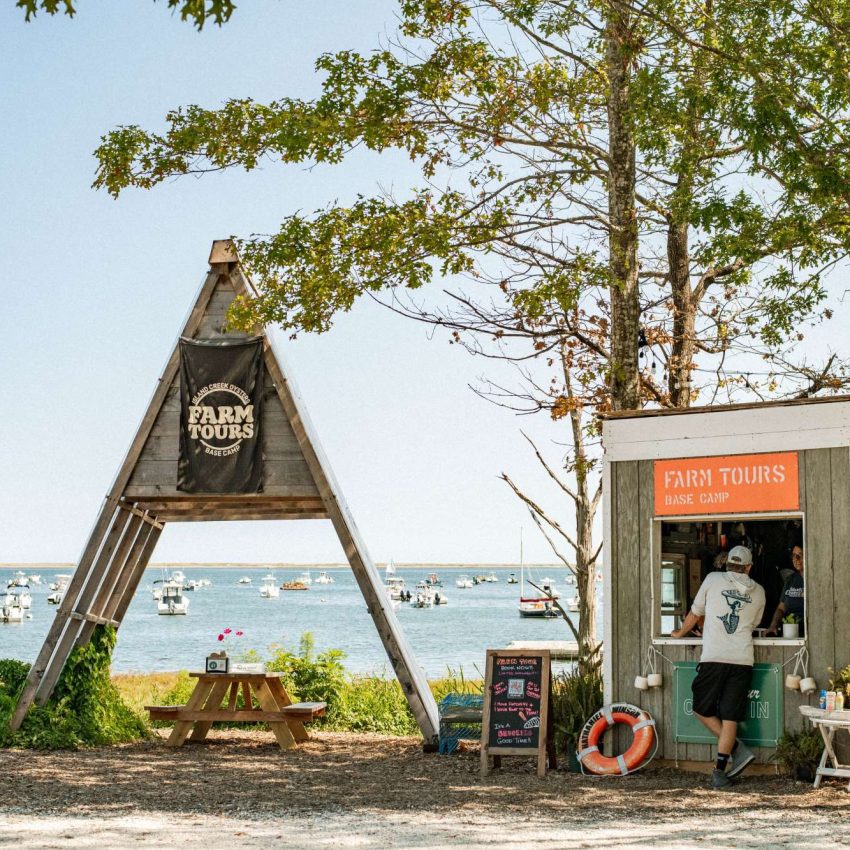 Island Creek Oysters