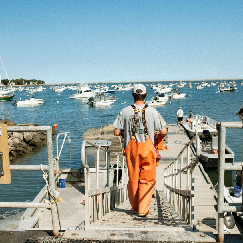 Island Creek Oysters