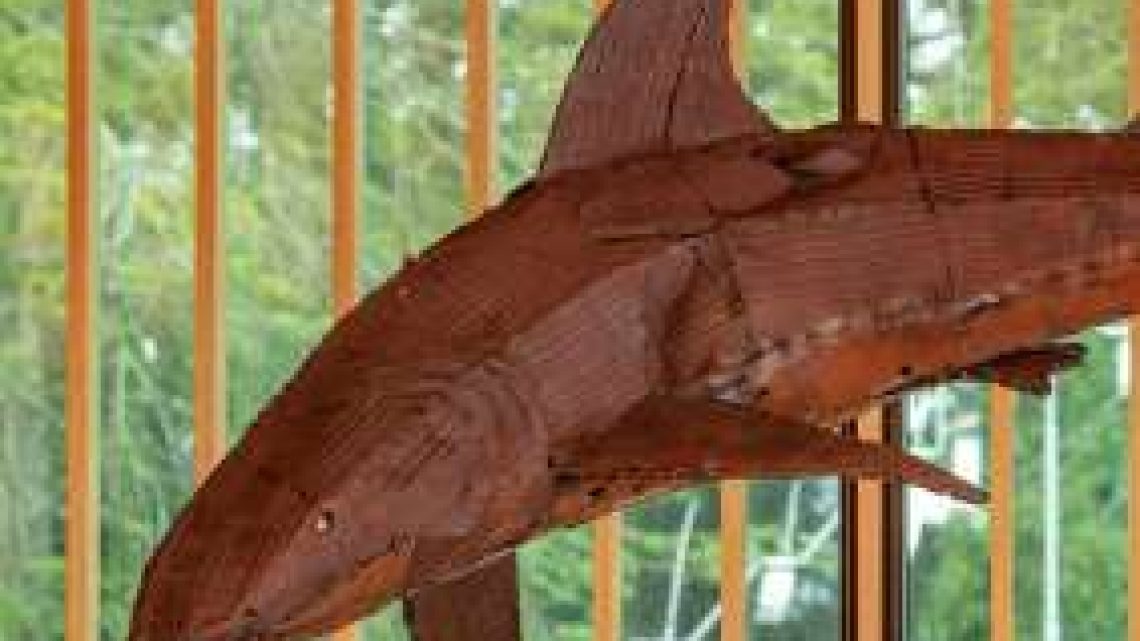 Art Complex Museum Duxbury