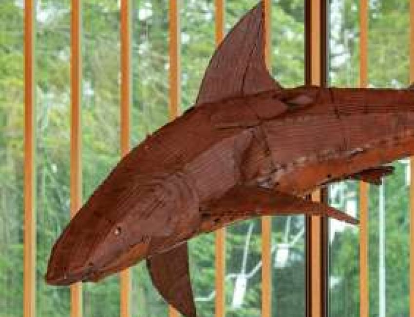 Art Complex Museum Duxbury