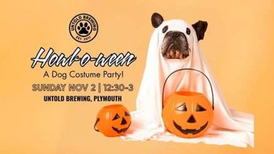 Untold Brewing Plymouth