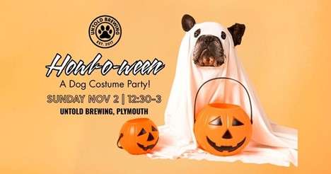 Untold Brewing Plymouth